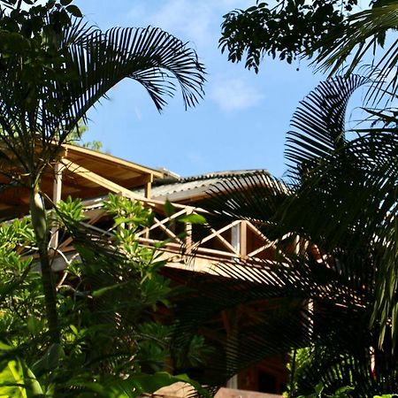 Eden Jungle Lodge Bocas Town Luaran gambar