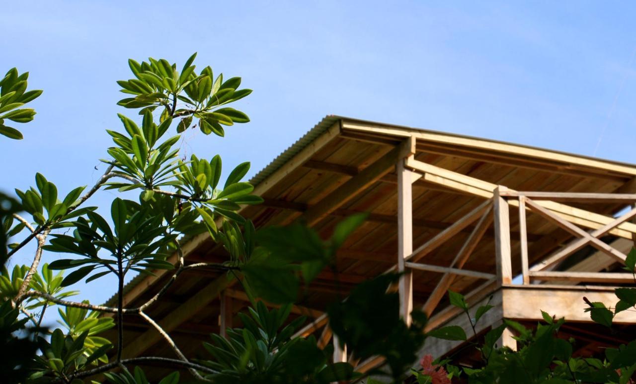 Eden Jungle Lodge Bocas Town Luaran gambar