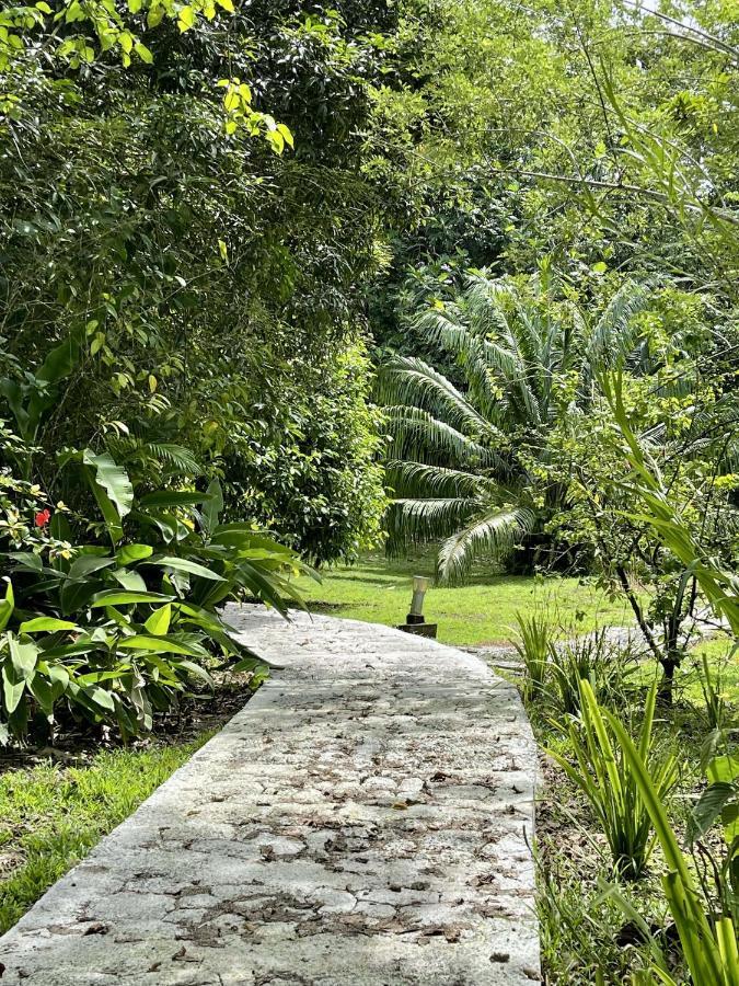 Eden Jungle Lodge Bocas Town Luaran gambar