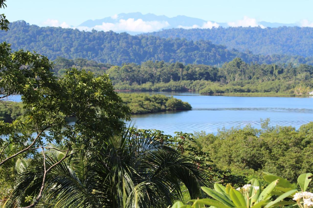 Eden Jungle Lodge Bocas Town Luaran gambar
