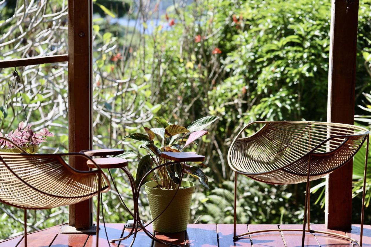 Eden Jungle Lodge Bocas Town Luaran gambar