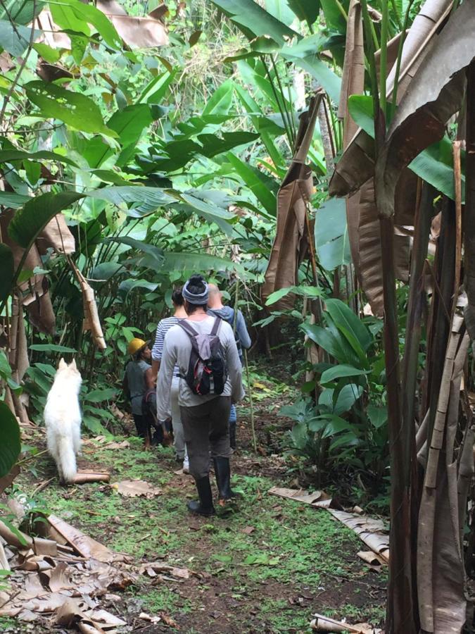 Eden Jungle Lodge Bocas Town Luaran gambar