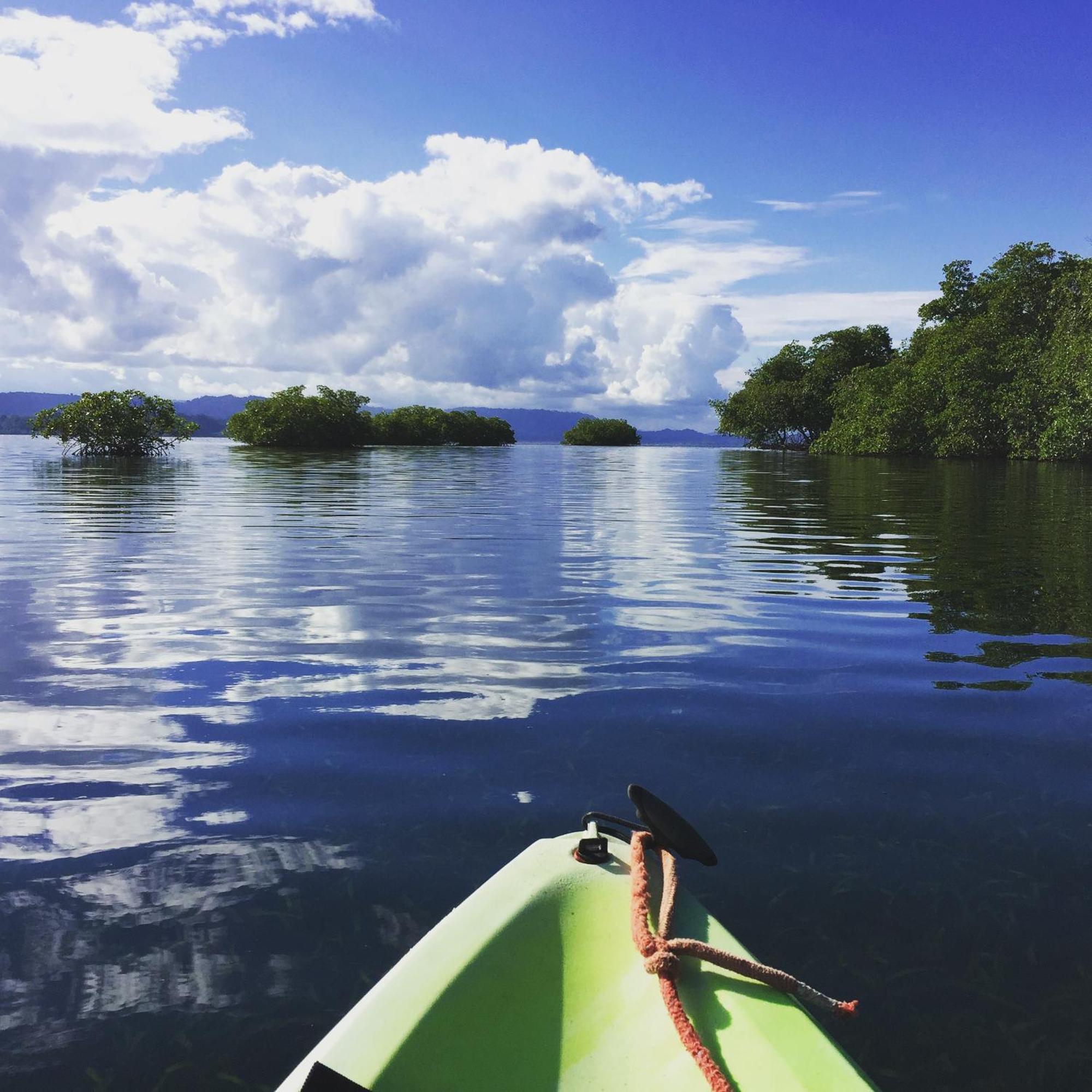 Eden Jungle Lodge Bocas Town Luaran gambar