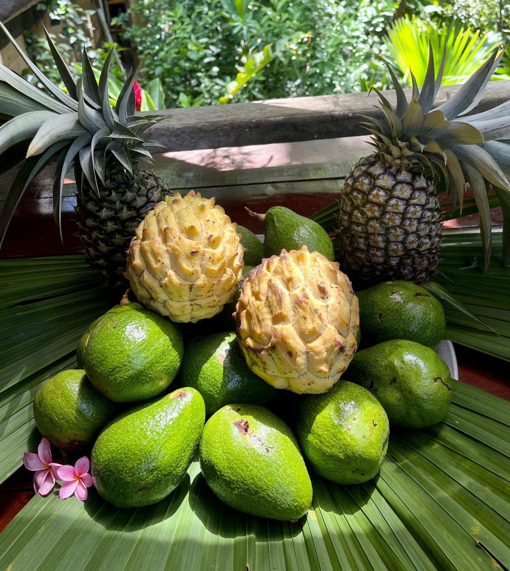 Eden Jungle Lodge Bocas Town Luaran gambar